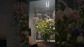 iPhone Fotos in 3D? Die Apple Vision Pro macht's möglich! (Spatial Photos)