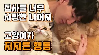 (ENG sub) The act of cats committed by loving humans so much.