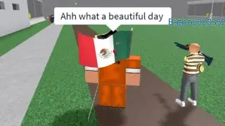 The Prison Experience