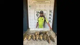 Прекрасные уловы сегодняшнего дня