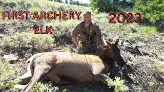 First Ever Archery Elk OTC Utah (2023)