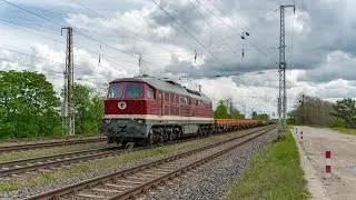 Sichtungen aus Saarmund 15.05.2021