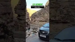 KIM BILADI QAERDA BU JOY🤨🤗