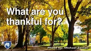 What are you thankful for?