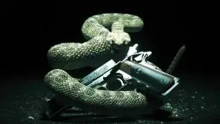 Hitman: Absolution - Teaser Video
