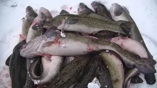 Burbot Fishing! On the Burbot Zhor River. The first ice is just around the corner.