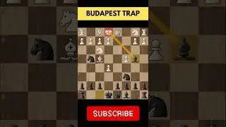 Checkmate Your Opponent in 8 Moves! 