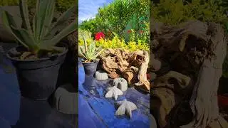 Излишки цементного раствора. #creative #beautiful #newvideo #идеи #своимируками