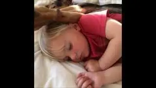 Тео и Бэо -- восхитительные фотографии, видео щенка и малыша. 3