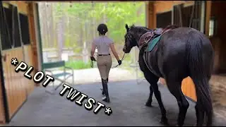 GETTING BACK IN THE SADDLE