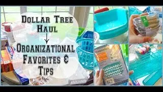 HUGE Dollar Tree Haul | Organizational Favorites! |