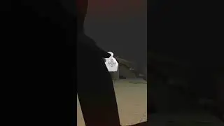 я не буду убивать кота