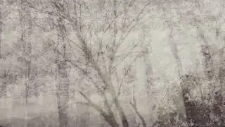 Paul Haslinger - A Young Fellow (Official Video)