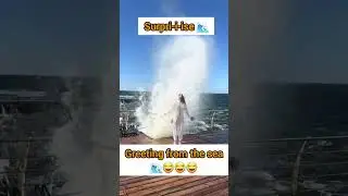 Surprise from #sea   #new #amazing #nature #naturespower