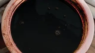 compost tea- Liquid gold.