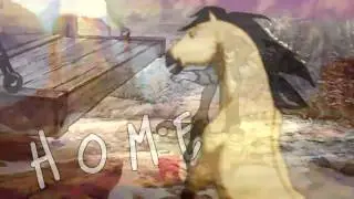• The Journey Home ~ 1000 subbers •