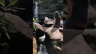 Beautiful waterfall on a sunny day. #calm #nature #naturevideo #waterfall #asheville #forestbathing