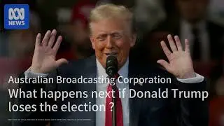 特朗普的再次崛起：全球经济的隐忧；中国农业外交新策略：进口与本土的博弈；社交媒体影响力：50万人的梦想与现实：2024美国总统大选20241103