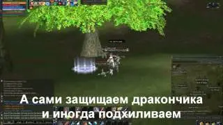 Квест на страйдера  Little Wing's Big Adventure