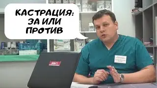 кастрация: за и против