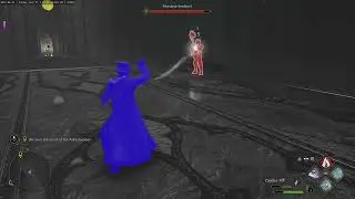 Fighting Pensieve Sentinel - Hogwarts Legacy