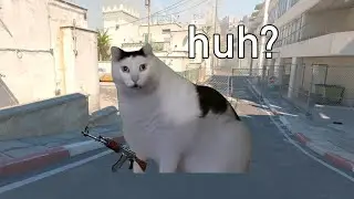 When it's your first time playing cs 2 huh cat meme