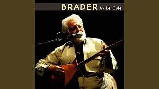 Ay Lê Gulê