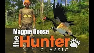 Magpie Goose First Look | theHunter Classic 2018