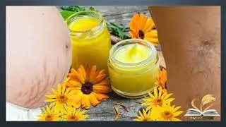 arnica tomada para que sirve - las propiedades del arnica