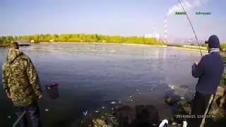 ФИДЕР Карп на 2620 гр. Поводок 0,12мм