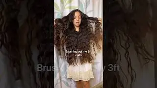 How big will my hair get? #hair #curlyhair #haircare #longhair #hairgrowth