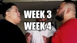 WEEK 3&4 - 12 Week Challenge Ft. HAVEA676