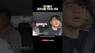 Why Korean gays raise dogs