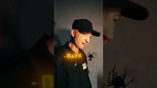 Дарю 5000 в моем INст: igor_almighty | каждый день! Проверяй! Там не соскучишься! Обнял ❤️