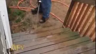 Прикол Собачья жажда