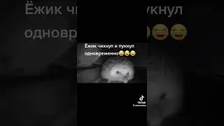 2 декабря 2023 г.