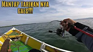 mancing dasaran - dapat ikan kakap dan kerapu