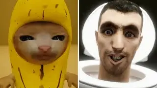 Happy Cat Tiktok Compilation Part 20