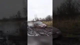 Как он это делает? 😜 