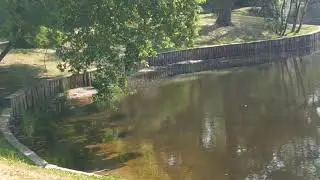 Засекреченная рыба.22.06.2023