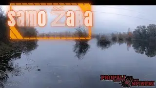 Toad Buzz - odličan površinac za aktivnu ribu