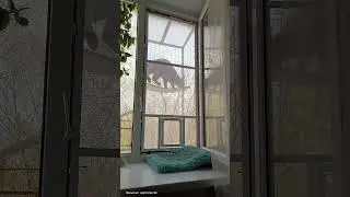 Уже пора ставить москитные сетки 🐝🦟 