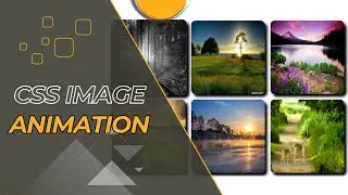 Css image transition animation | css photo animation| css image transition 