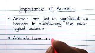 Essay on the Importance of Animals | Simple Essay on Animals @writingclass9874