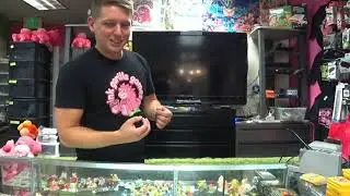 The Story of Nintendo World Championships 