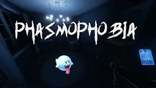 We Are A Team Of Professionals | Phasmophobia
