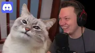 Discord Review Returns