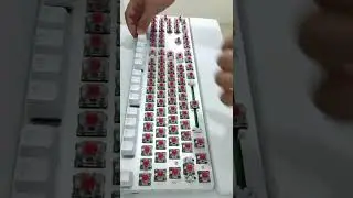 Satisfying ASMR Keyboard Cleaning