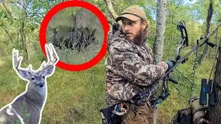 Buck or Boar? | 