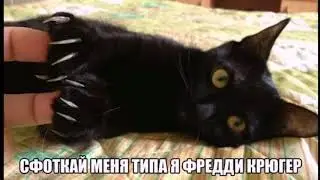 Ремонт балалайки Лджи